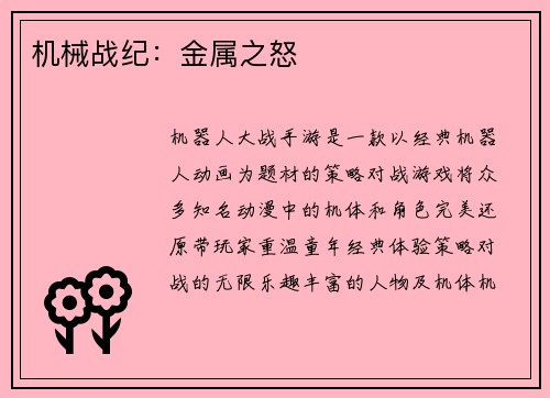 机械战纪：金属之怒